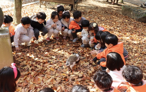 앞산 고산골 